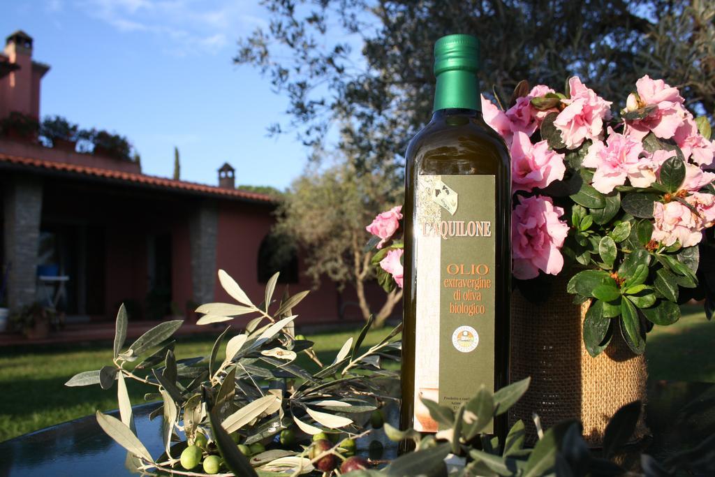 Agriturismo L'Aquilone Magliano in Toscana Luaran gambar